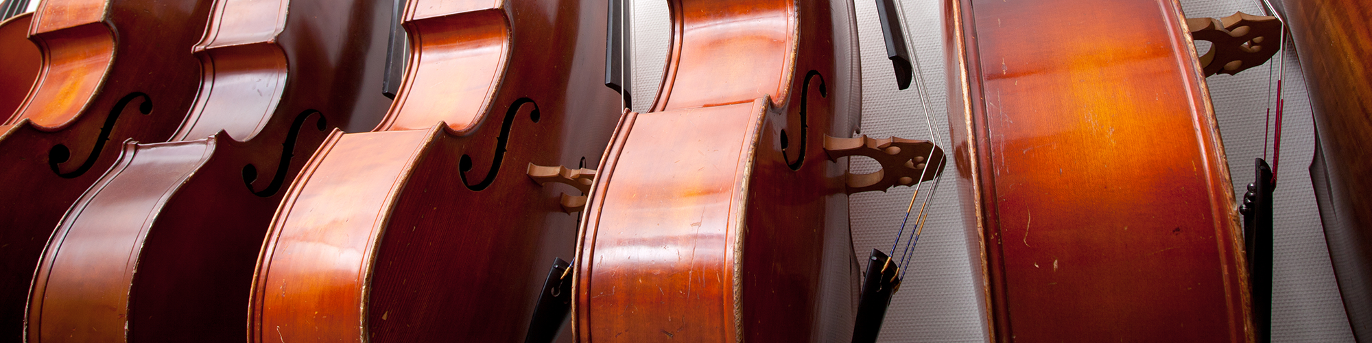 Violins
