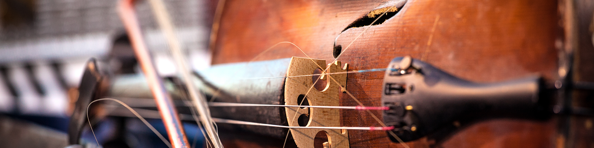 Brown violin